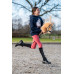 Hobby Horse Steckenpferd mit Trense Zügel